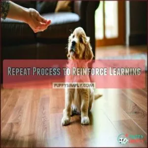Repeat Process to Reinforce Learning