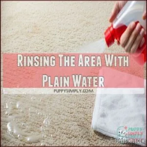 Rinsing The Area With Plain Water