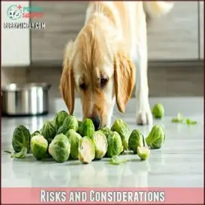 Risks and Considerations