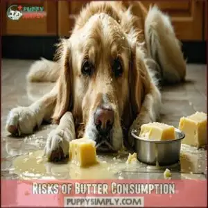 Risks of Butter Consumption