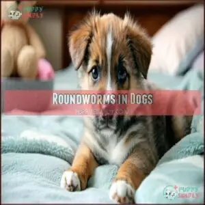 Roundworms in Dogs
