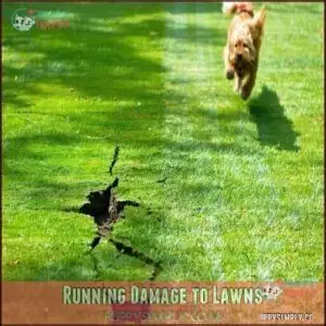 Running Damage to Lawns
