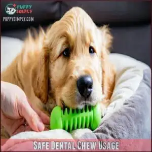 Safe Dental Chew Usage