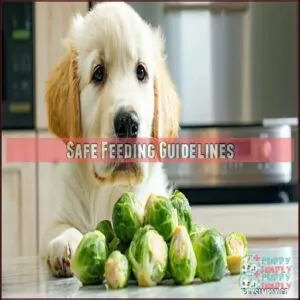 Safe Feeding Guidelines