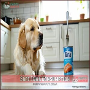 Safe Tuna Consumption