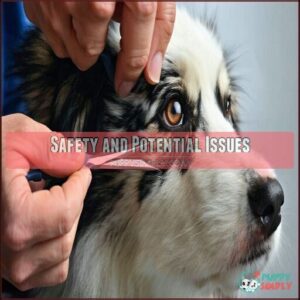 Safety and Potential Issues