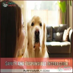 Safety and Responsible Interaction