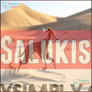 Salukis