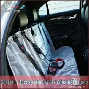 Seatbelt Access and Safety Considerations