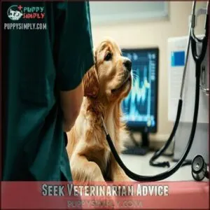 Seek Veterinarian Advice