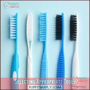 Selecting Appropriate Tools