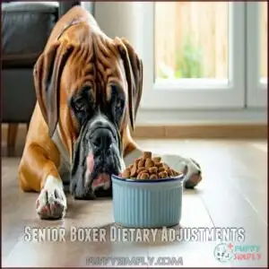 Senior Boxer Dietary Adjustments
