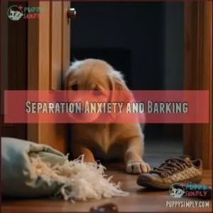 Separation Anxiety and Barking