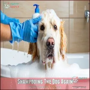 Shampooing The Dog Again