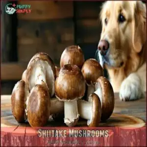 Shiitake Mushrooms