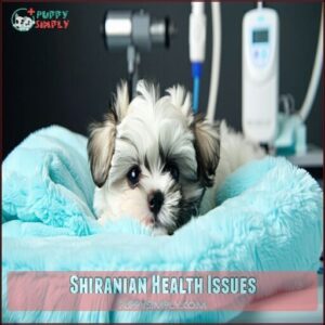 Shiranian Health Issues Shiranian Health Issues