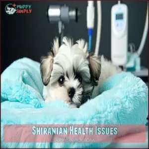 Shiranian Health Issues