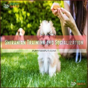 Shiranian Training and Socialization