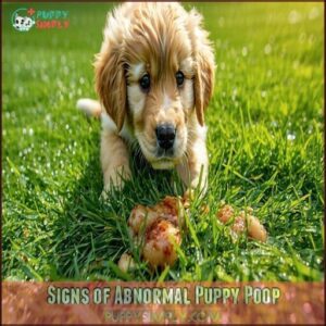 Signs of Abnormal Puppy Poop