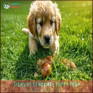 Signs of Abnormal Puppy Poop