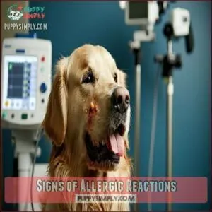 Signs of Allergic Reactions