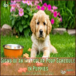 Signs of an Irregular Poop Schedule in Puppies