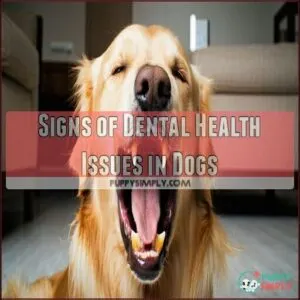 Signs of Dental Health Issues in Dogs