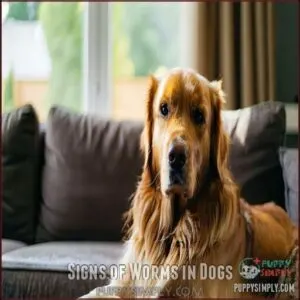 Signs of Worms in Dogs