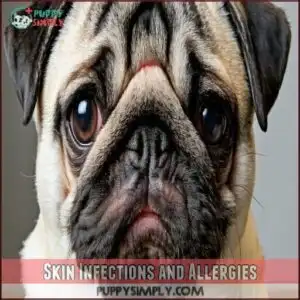 Skin Infections and Allergies