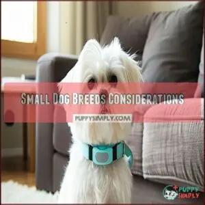 Small Dog Breeds Considerations