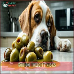 Sodium Toxicity Risks