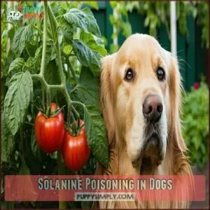 Solanine Poisoning in Dogs
