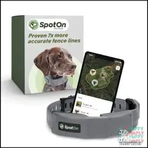 SpotOn GPS Dog Fence, App
