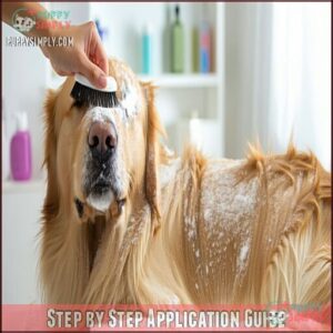 Step by Step Application Guide