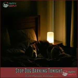 Stop Dog Barking Tonight