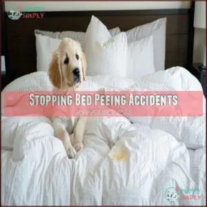 Stopping Bed Peeing Accidents Stopping Bed Peeing Accidents