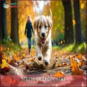 Stress or Excitement