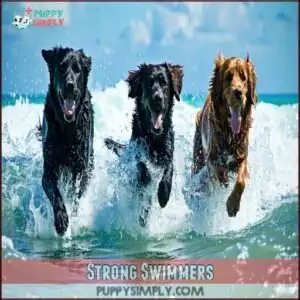 Strong Swimmers