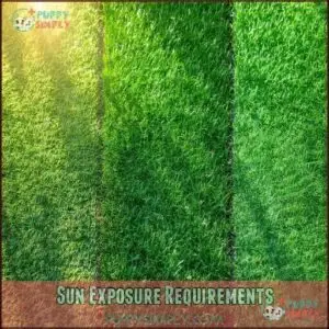 Sun Exposure Requirements