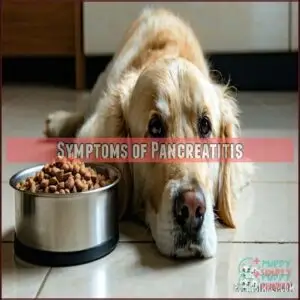 Symptoms of Pancreatitis