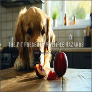 the pit presents multiple hazards