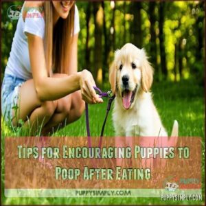 Tips for Encouraging Puppies to Poop After Eating