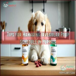 Tips for Managing Irregular Poop Schedule in Puppies