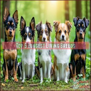 Top 5 Longest Living Breeds