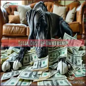 Total Cost of Ownership