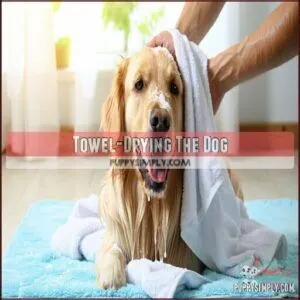 Towel-Drying The Dog