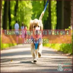 Training Your Dog to Walk on a Loose Leash