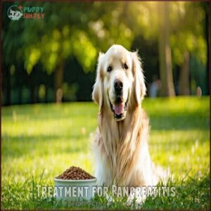 Treatment for Pancreatitis