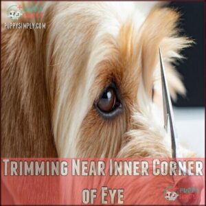 Trimming Near Inner Corner of Eye
