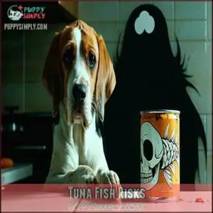 Tuna Fish Risks